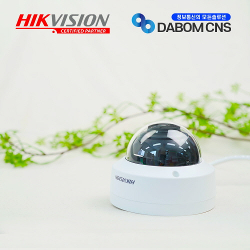 HIKVISION DS-2CD1121-I 4mm IP Camera 2MP